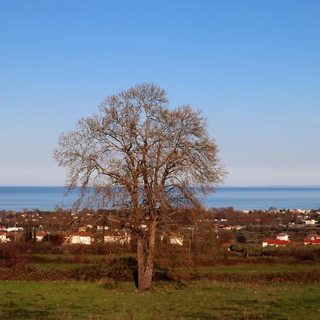 Elioj House Villa Leptokaryá Rom bilde
