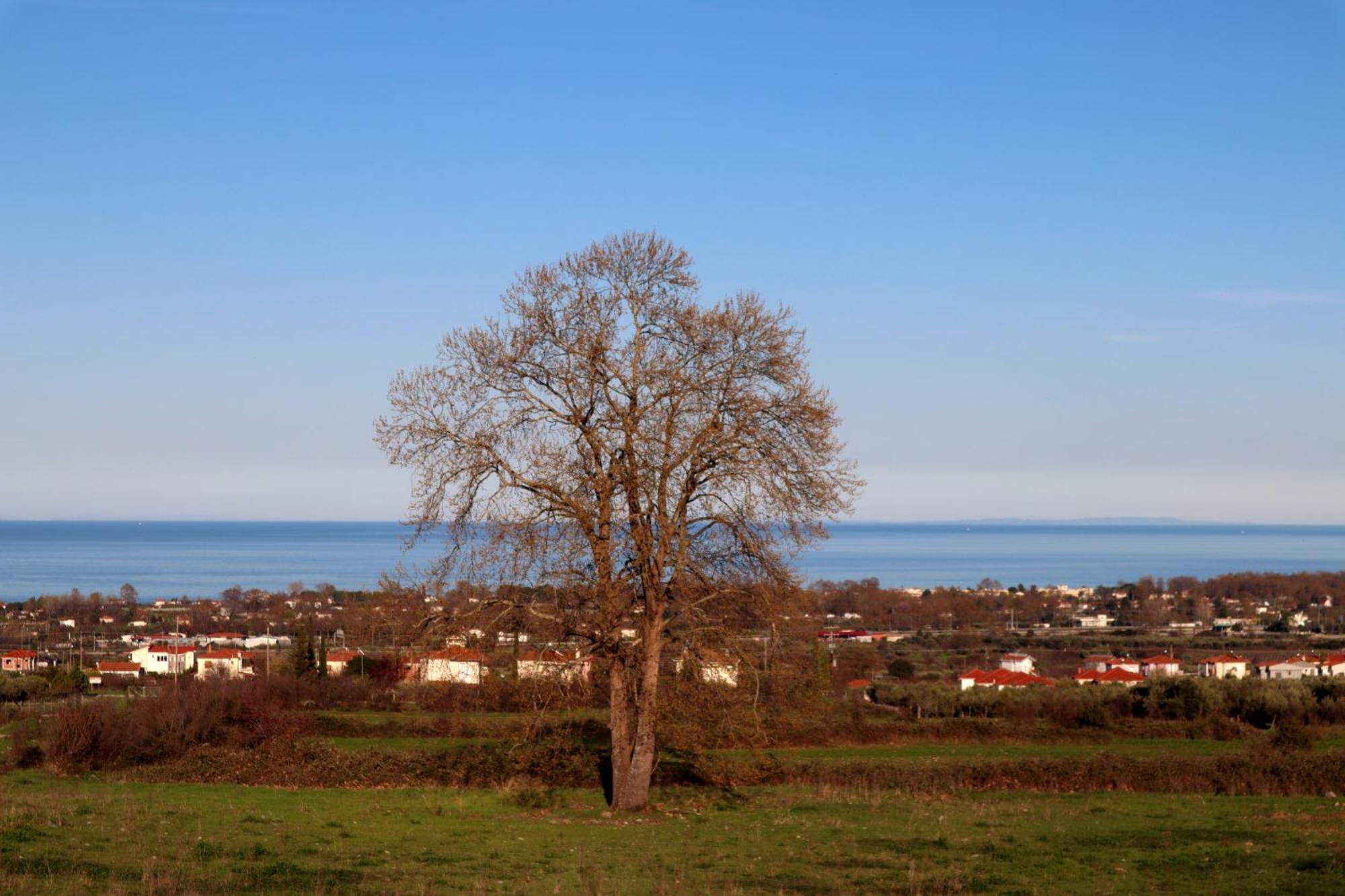 Elioj House Villa Leptokaryá Rom bilde